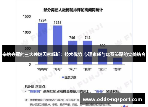 辛纳夺冠的三大关键因素解析：技术优势 心理素质与比赛策略的完美结合