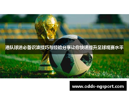 港队球迷必备识波技巧与经验分享让你快速提升足球观赛水平
