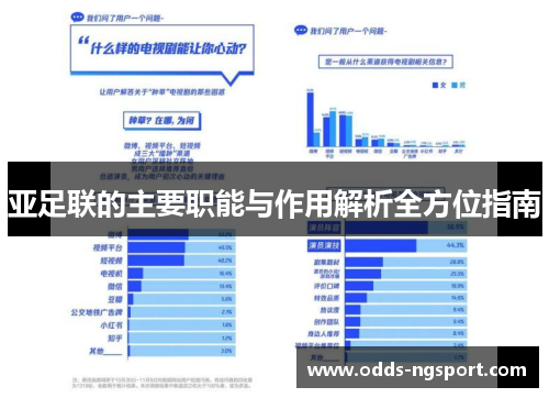 亚足联的主要职能与作用解析全方位指南