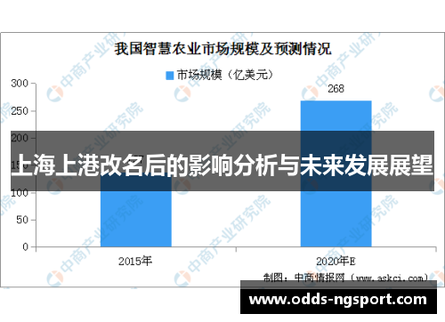 上海上港改名后的影响分析与未来发展展望